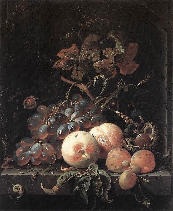 MIGNON, Abraham Still-Life with Fruits sg oil painting picture